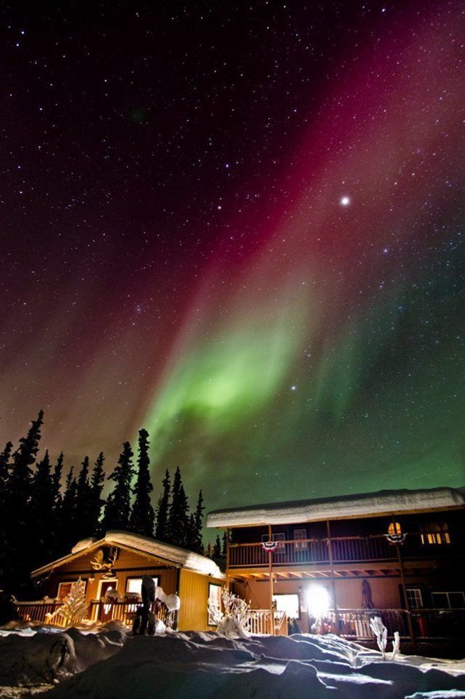 A Mooseberry Inn B&B Slana Buitenkant foto